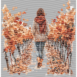 autumn-QT 904